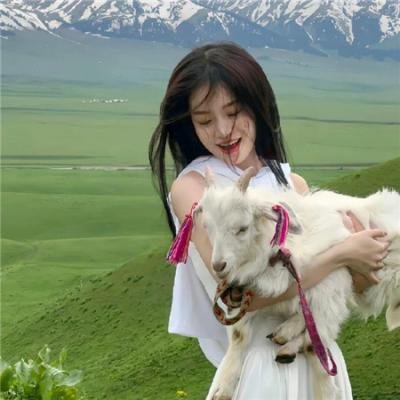 编舟记~我要编纂辞典~